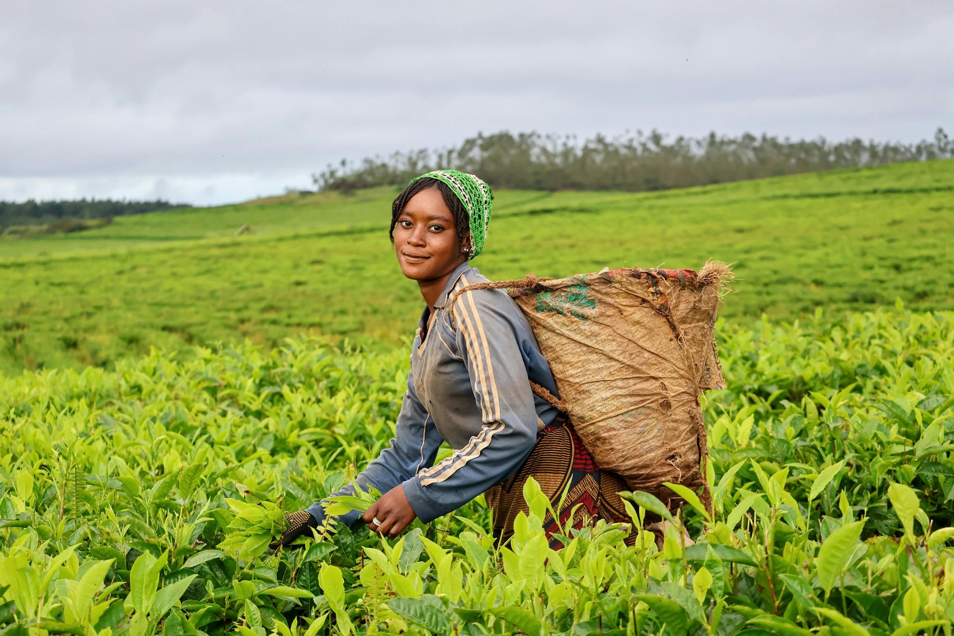 Pexels Fatima Yusuf 323522203 30541302