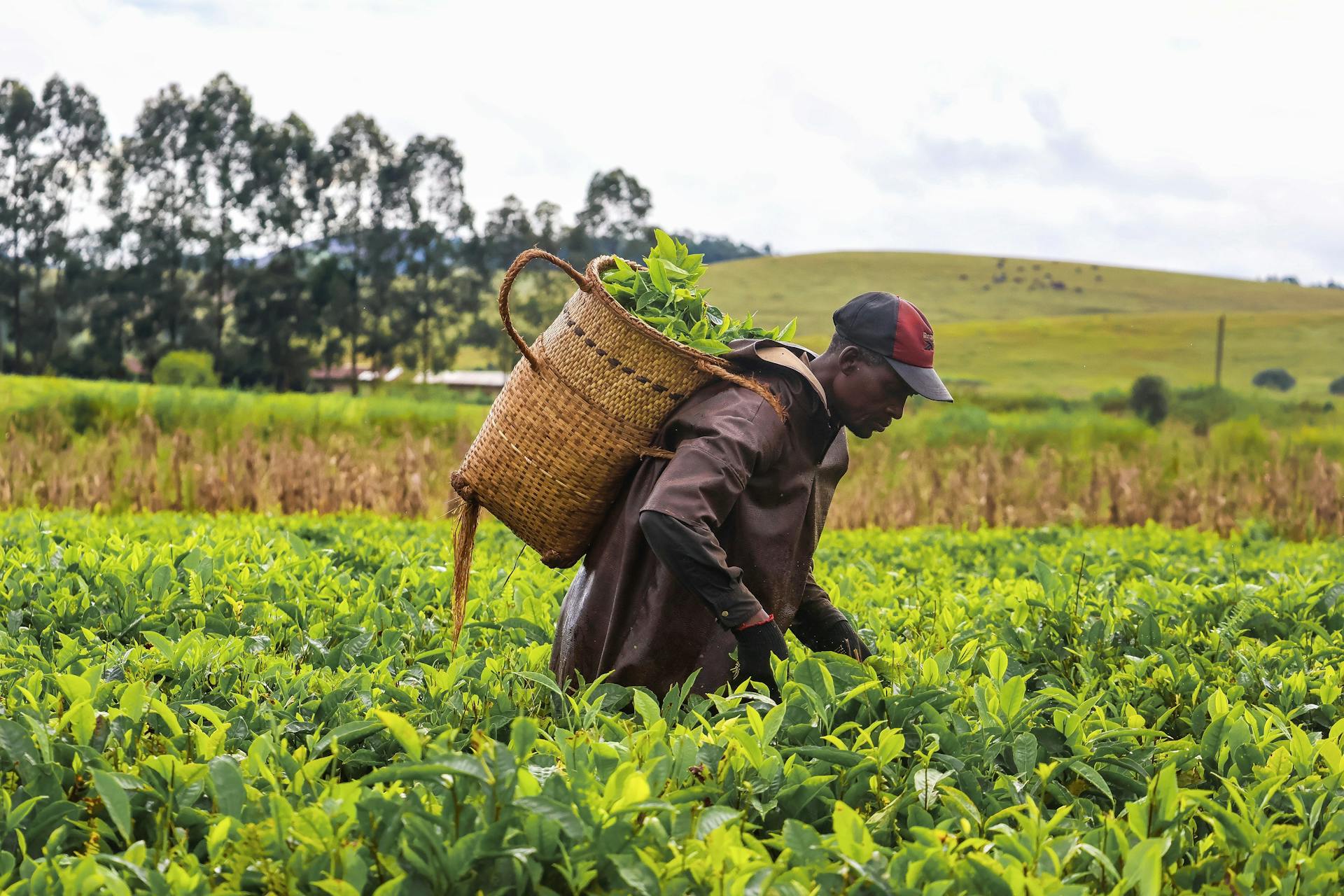 Pexels Fatima Yusuf 323522203 30541304