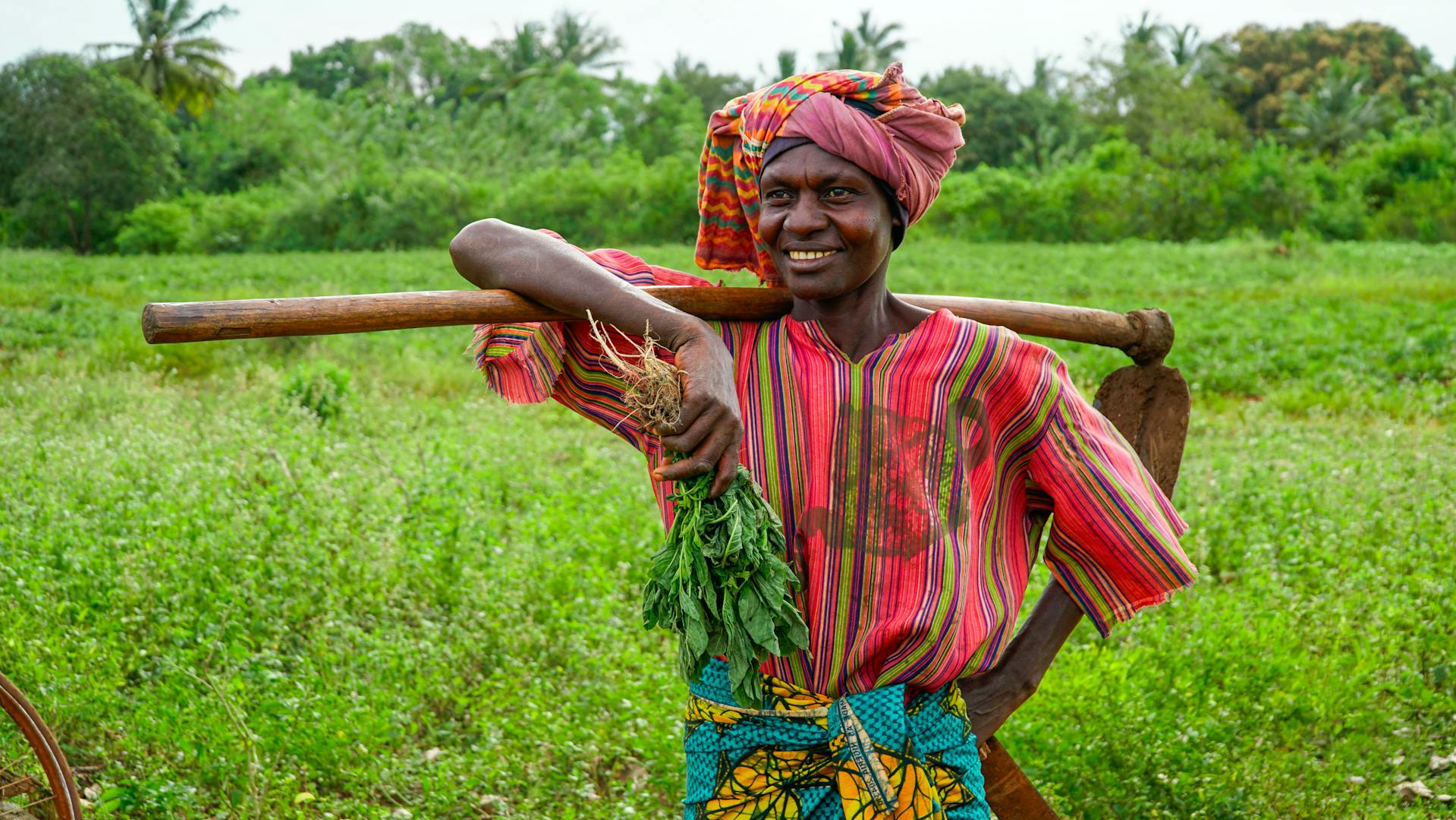 Pexels Selman Urluca 328308611 20371811